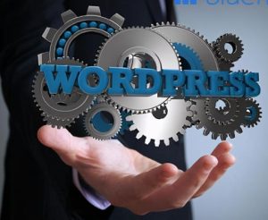 Wordpress 建站使用什么服务器比较安全 防止被攻击？